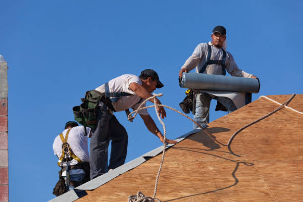 Best Roof Gutter Cleaning  in Lely Resort, FL