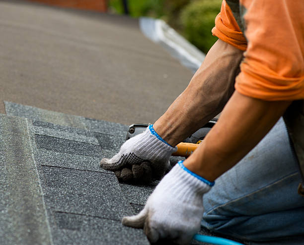 Roof Repair Estimates in Lely Resort, FL